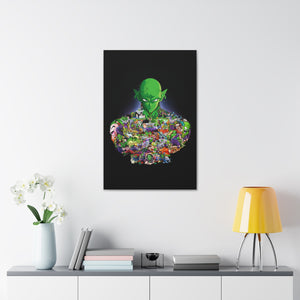 PICCOLO COLOR CANVAS PICCOLO COLOR CANVAS