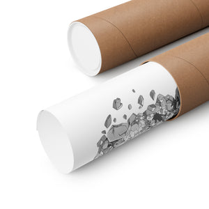 TOJI BLACK & WHITE POSTER TOJI BLACK & WHITE POSTER