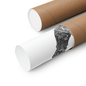 TEAM ROCKET BLACK & WHITE POSTER TEAM ROCKET BLACK & WHITE POSTER