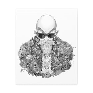 MASTER ROSHI BLACK & WHITE CANVAS MASTER ROSHI BLACK & WHITE CANVAS