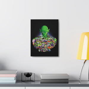 PICCOLO COLOR CANVAS PICCOLO COLOR CANVAS