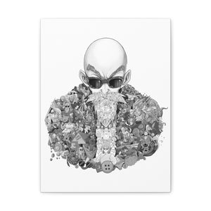 MASTER ROSHI BLACK & WHITE CANVAS MASTER ROSHI BLACK & WHITE CANVAS