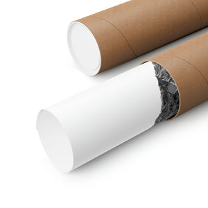 TEAM ROCKET BLACK & WHITE POSTER TEAM ROCKET BLACK & WHITE POSTER