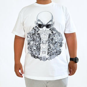 MASTER ROSHI PREMIUM T-SHIRT (Ship from Viet Nam) MASTER ROSHI PREMIUM T-SHIRT (Ship from Viet Nam)