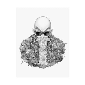 MASTER ROSHI BLACK & WHITE POSTER MASTER ROSHI BLACK & WHITE POSTER