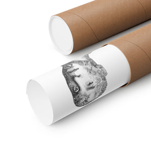 KOBE BRYANT BLACK & WHITE POSTER KOBE BRYANT BLACK & WHITE POSTER