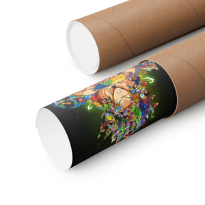 BROLY COLOR POSTER BROLY COLOR POSTER